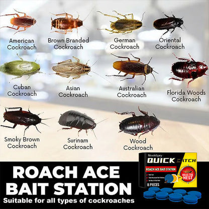 🔥Roach Ace Bait Station