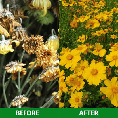 GardenGenieTM -Slow Release Fertilizer Sticks For Plants