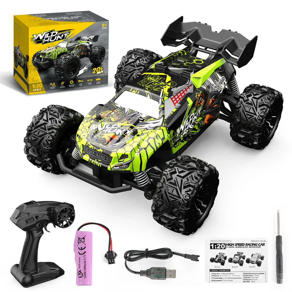 RC Remote Control Car Professional High Speed Buggy Kids Toys