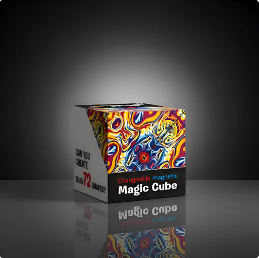 The Award Winning Puzzle Cube