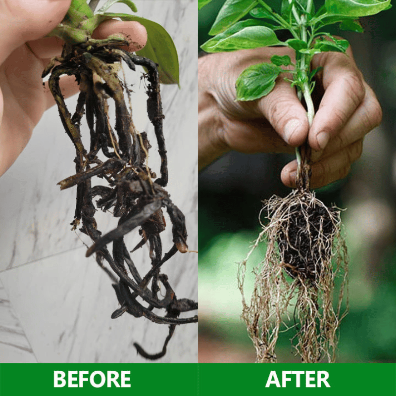 GardenGenieTM -Slow Release Fertilizer Sticks For Plants