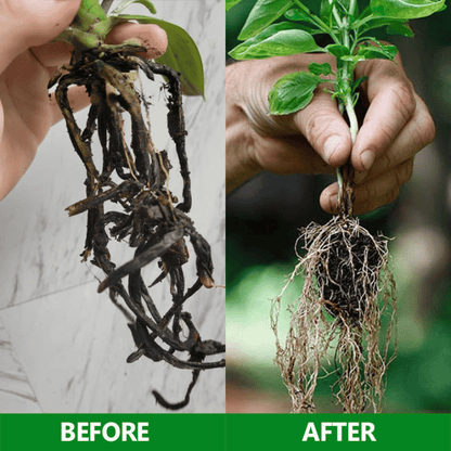 GardenGenieTM -Slow Release Fertilizer Sticks For Plants