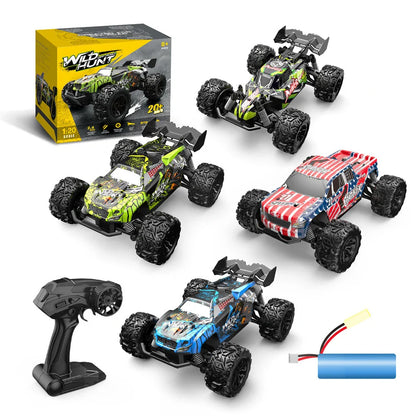 RC Remote Control Car Professional High Speed Buggy Kids Toys
