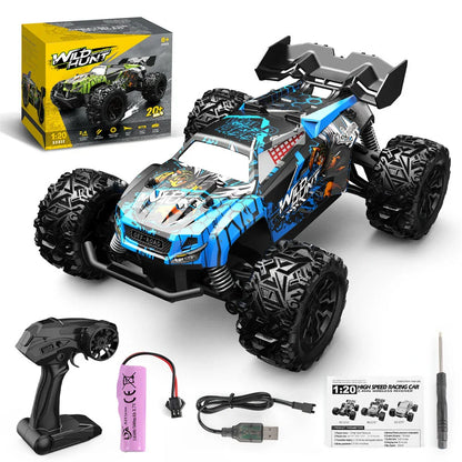 RC Remote Control Car Professional High Speed Buggy Kids Toys