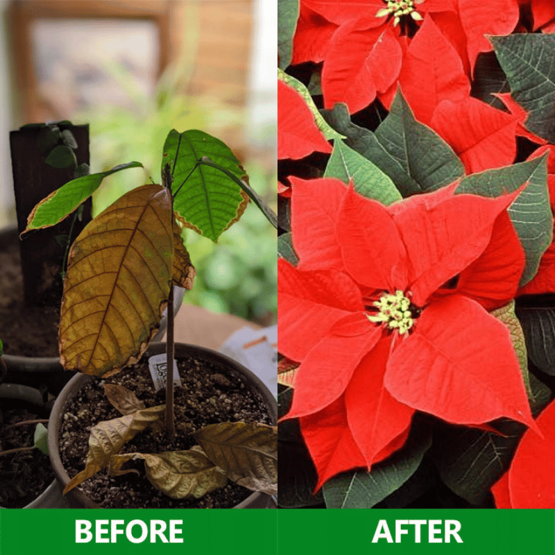 GardenGenieTM -Slow Release Fertilizer Sticks For Plants